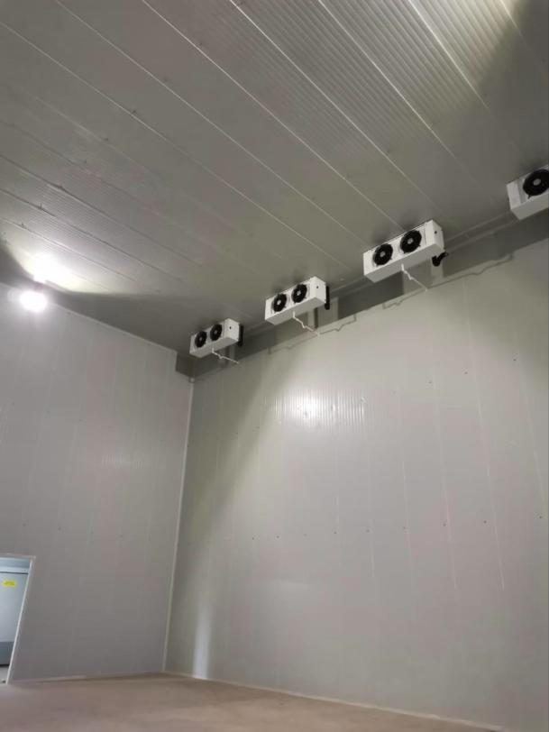 Cuarto frío con evaporadores instalados por Romo Refrigeración